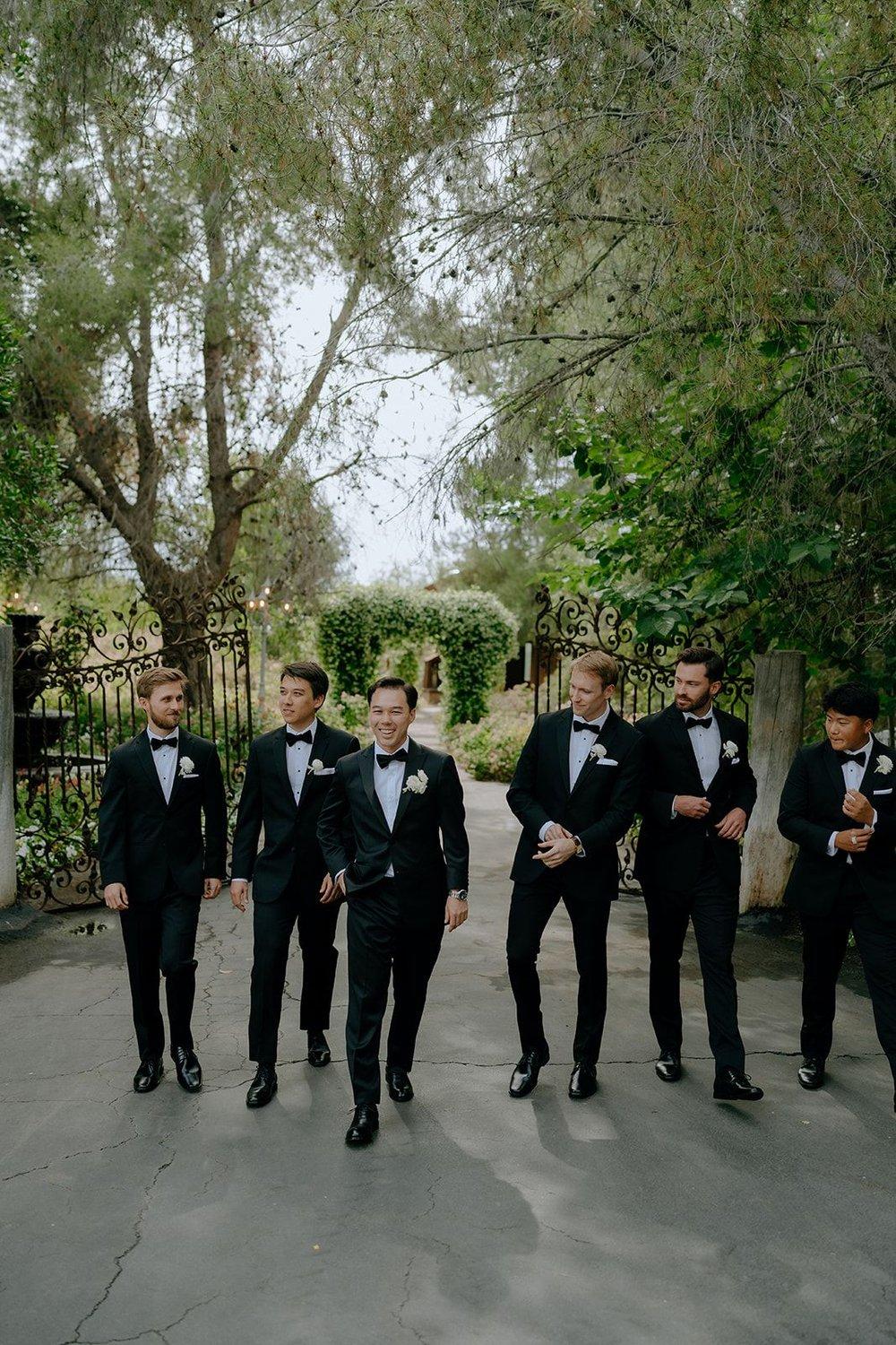 carousel-hero-element image-6