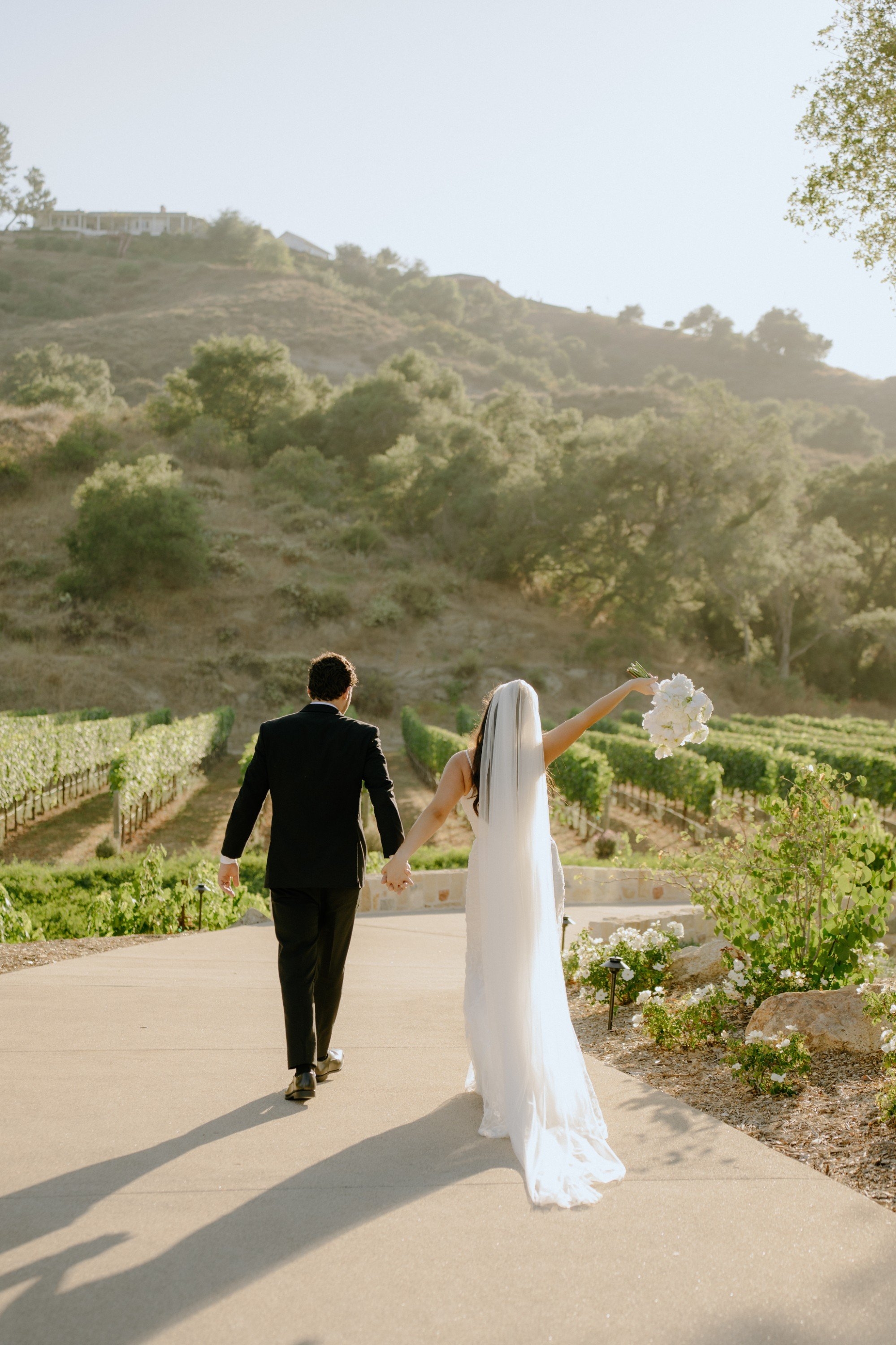 carousel-hero-element image-2